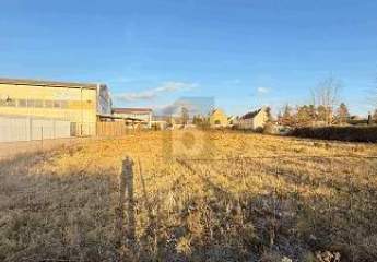 478239-Vorschaubild3