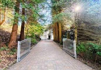 478602-Vorschaubild2