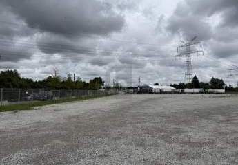 477968-Vorschaubild2