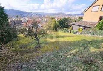 477988-Vorschaubild4