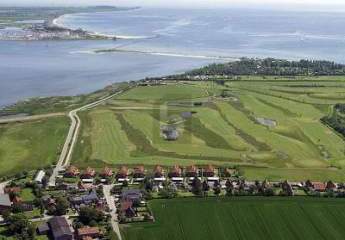 477649-Vorschaubild4