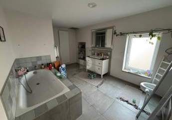 478619-Vorschaubild3