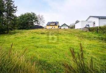 478786-Vorschaubild3