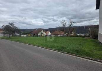 478917-Vorschaubild2