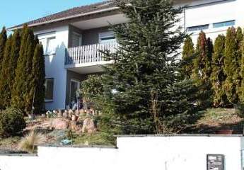 UNTER DEN DÄCHERN VON OBERNBURG