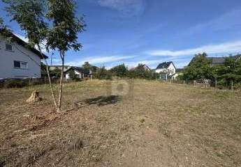 478252-Vorschaubild2