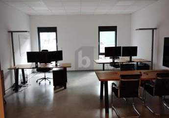 478084-Vorschaubild4