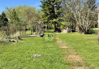 477117-Vorschaubild2