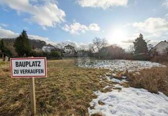 AM ROSENSTEIN: ANKOMMEN, AUFATMEN, BAUEN