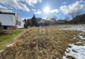 476307-Vorschaubild2