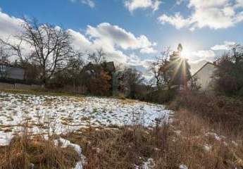 476307-Vorschaubild3