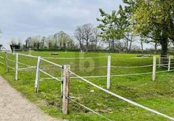 477137-Vorschaubild2