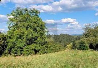 EXKLUSIVER PLATZ IN ATTRAKTIVEM WOHNORT