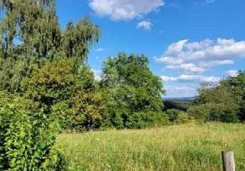 476409-Vorschaubild3