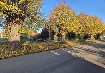 476316-Vorschaubild3