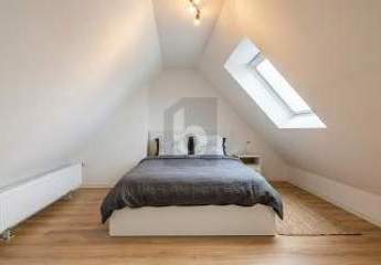 475670-Vorschaubild2