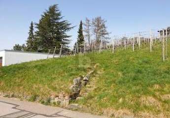 479187-Vorschaubild2