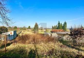 478991-Vorschaubild4