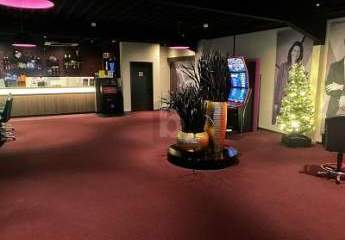 479501-Vorschaubild3