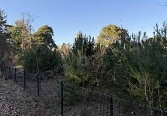 478077-Vorschaubild4