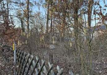 478081-Vorschaubild4