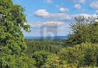 476409-Vorschaubild4