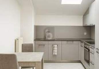 479481-Vorschaubild4