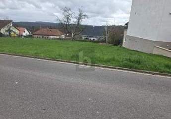 478917-Vorschaubild3