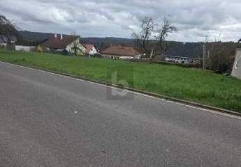 478917-Vorschaubild4