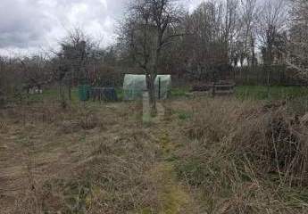 LÄNDLICH, NATURNAH, ERHOLUNG PUR