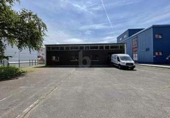 477084-Vorschaubild3