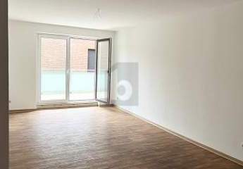 479065-Vorschaubild2