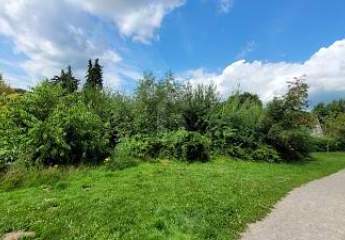 EIN PLATZ ZUM ANKOMMEN - BAUEN SIE IHR ZUHAUSE