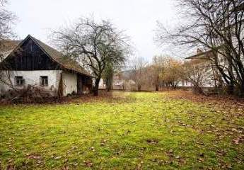 477667-Vorschaubild2