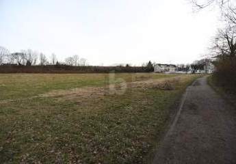 476477-Vorschaubild3