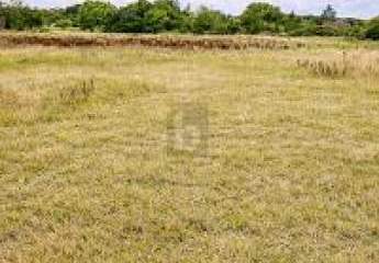 478999-Vorschaubild4