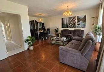 480981-Vorschaubild3