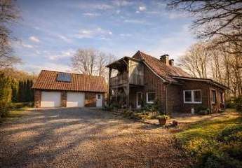 481401-Vorschaubild2