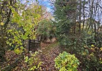 480978-Vorschaubild2