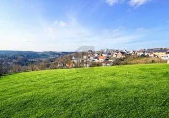 481135-Vorschaubild2