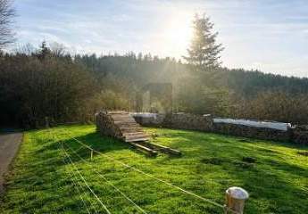 481135-Vorschaubild3