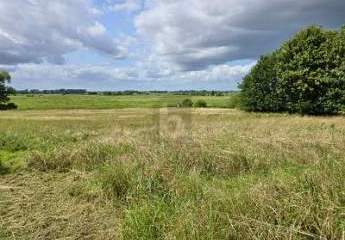 481355-Vorschaubild4