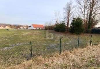 481485-Vorschaubild3