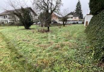 479678-Vorschaubild3