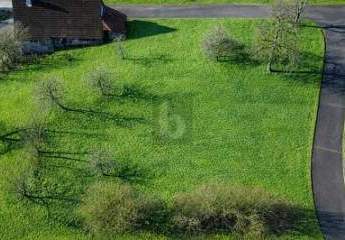 481373-Vorschaubild2