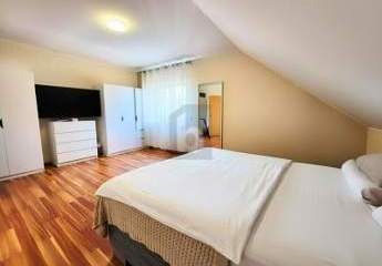 481375-Vorschaubild3