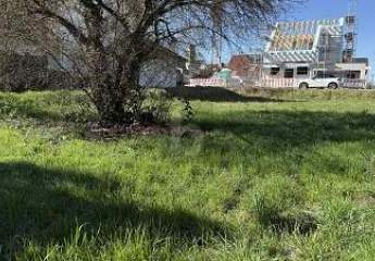 481378-Vorschaubild2