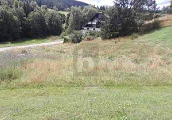 481393-Vorschaubild3