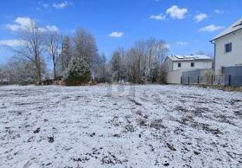 481497-Vorschaubild2