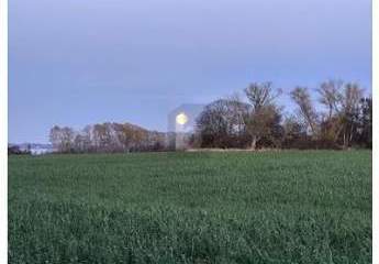 481500-Vorschaubild2